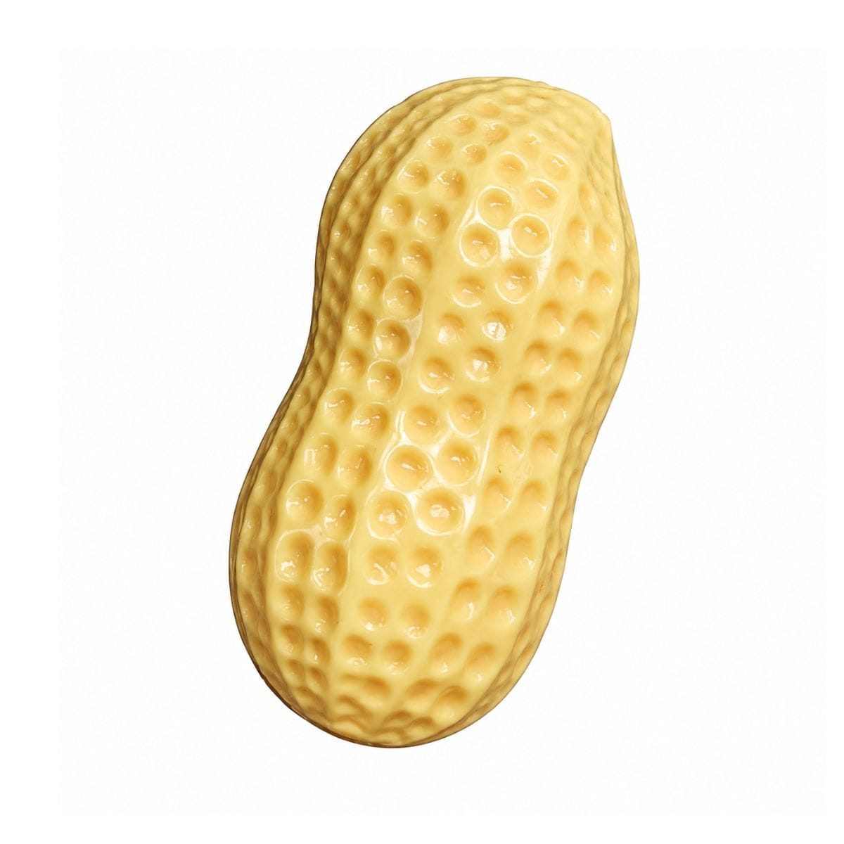 Crunchy Peanut Squishy