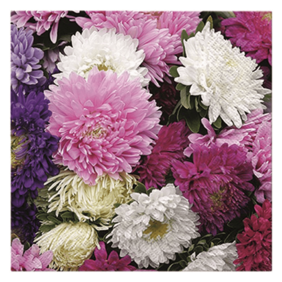 Servietter Dahlia Mix 20 stk