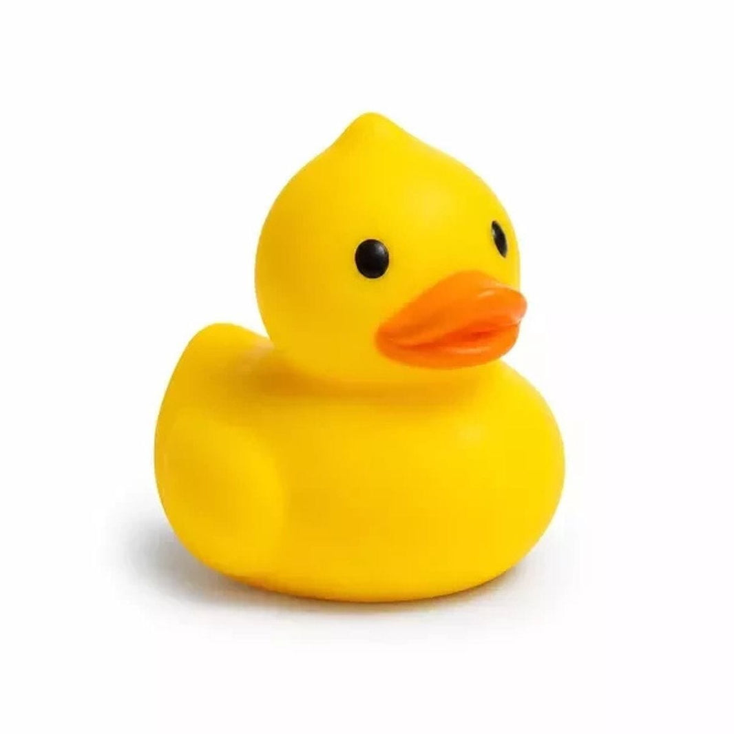 Squishy Duck