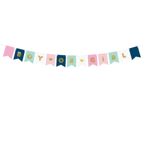 Banner Boy Or Girl 15 x 175 cm