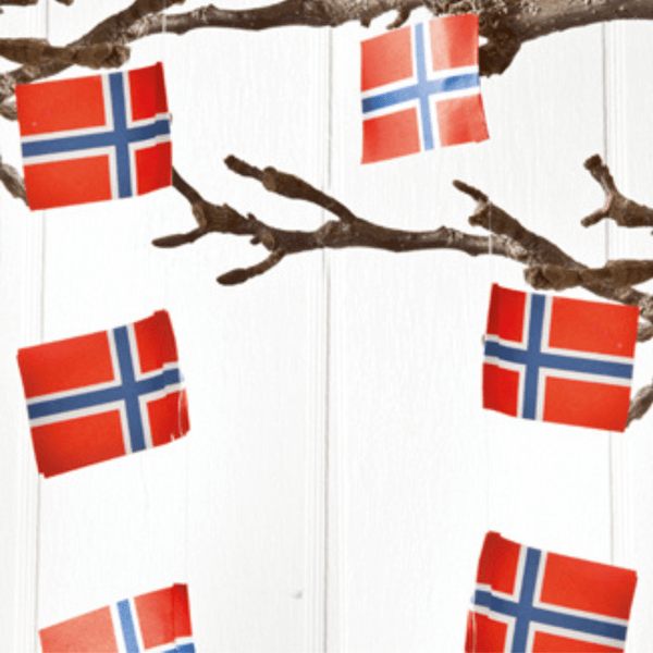Flaggirlander Norge 2m