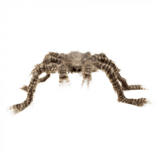 Hårete Edderkopp 50 x 70 cm