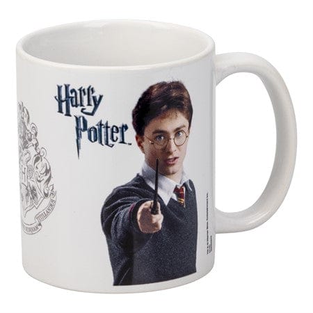 Kopp- Harry Potter